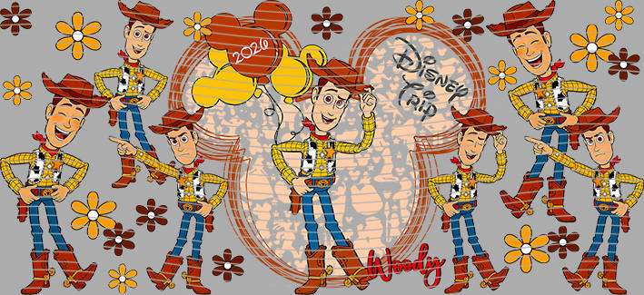 16oz Disney style-D-1240